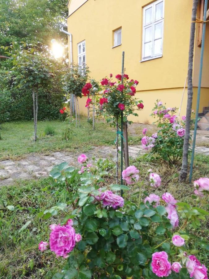 Szorcsik Haz 1913 Lägenhet Senta Exteriör bild